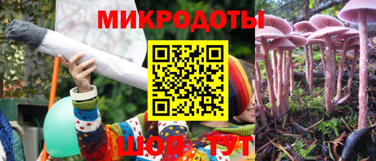 Галлюциногенные грибы Cubensis Долгопрудный